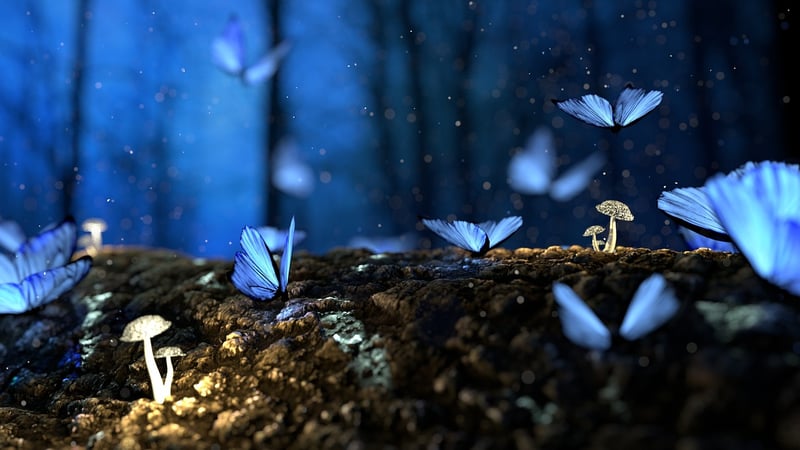 Fairytale Enchantment